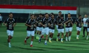 مجلس الوزراء: جهود متكاملة لتلبية احتياجات المواطنين من الأضاحي واللحوم