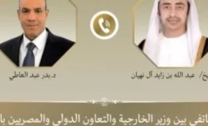 نائب يقترح تنفيذ توصيات المنظمات الدولية بفصل الكلاب الذكور عن الإناث لحل الأزمة