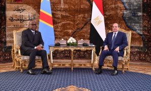 الخدمات البيطرية تكشف أمام النواب : تحصين 121 ألف كلب ضد مرض السعار خلال  2025