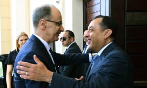 الرئيس السيسى يستقبل اليوم الشيخ محمد بن زايد ويعقدان جلسة مباحثات حول عدد من القضايا