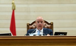 الرئيس السيسى يستقبل اليوم الشيخ محمد بن زايد ويعقدان جلسة مباحثات حول عدد من القضايا