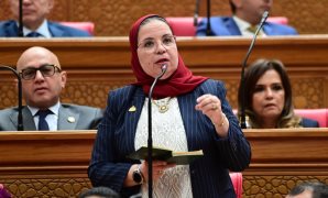  نواب يطالبون باستكمال المشروعات المتعثرة وهيكلة الهيئات الاقتصادية لوقف خسائرها  