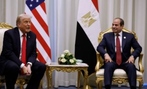 النائب سعيد العماري: ثورة 30 يونيو أنقذت الدولة المصرية وحمت سيناء من مخططات استهدفت أمنها واستقرارها