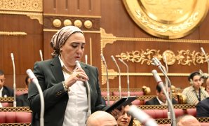 داليا الأتربي تطالب بتعزيز تمثيل المرأة بمجالس الإدارة ومواكبة الاقتصاد الرقمى فى قانون الشركات