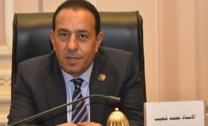 النائبة رانيا الشيمى: أصحاب المعاشات يحظون باهتمام خاص من القيادة السياسية