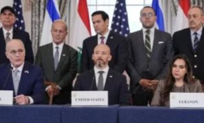 زراعة النواب: تغيير اسم الهيئة العربية يعكس التوجه نحو تعزيز الأمن الغذائى