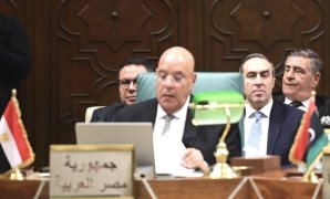 حق المطلقة الحاضنة فى شغل مسكن الحضانة بين مقتضيات الحماية الاجتماعية وضمانات الملكية الخاصة.. قراءة فى حكم الهيئة العامة للنقض.. 6 عناصر حسمت النزاع.. و5 مبادئ جديدة أقرتها الهيئة.. الأبرز "حق الحاضنة مؤقت"