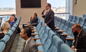الوردانى: حضور وزير الصحة لمناقشة ملف صحة الأطفال والأمهات المرضعات أمر في غاية الأهمية