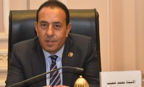 النائب محمد شعيب: ثورة 30 يونيو أنقذت الدولة المصرية ورسخت دعائم الجمهورية الجديدة