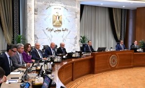 ميناء السخنة يستقبل السفينة CHIPOLBROK SUN وعلى متنها ونش عملاق لدعم تشغيل محطة البضائع