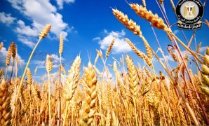 خطة التنمية 2026/2027: النمو السكاني المتسارع أبرز تحديات وعدد السكان يقترب من 109 ملايين نسمة  