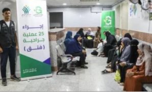 54 مليار جنيه لـ«تكافل وكرامة» و160 مليارًا لدعم السلع التموينية بخطة التنمية