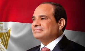 مجلس النواب يوافق على نص المادة 40 من قانون جهاز مستقبل مصر 