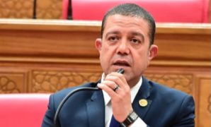 تعرف على مؤشرات أداء قطاع المرافق العامة في خطة 2026/2027