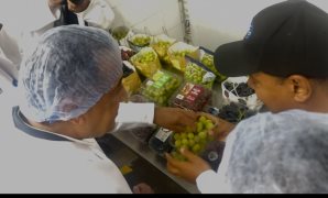  بعد قليل.. رئيس الوزراء يتفقد مشروعات للإنتاج الزراعي والحيواني 