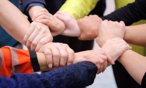 رئيس الوزراء يوجه بإجراء تقييم حقيقى لشركة طنطا للكتان والزيوت