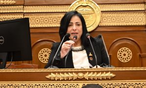 النائب ياسر الحفناوي: برنامج الطروحات يدعم تنافسية الاقتصاد وتعظيم الاستفادة من الأصول 