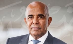 وكالة فيتش: التركيبة السكانية المصرية داعمة لتطور قطاع التجارة الإلكترونية