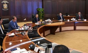 النائبة عبير عطا الله: مؤتمر المصريين بالخارج يؤكد أن الدولة تتبنى نهجًا مستدامًا لتعزيز ارتباط أبنائها بوطنهم