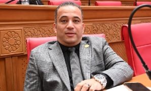 عقب بيان رئاسه مجلس الوزراء .. حزب حماة الوطن يدين استهداف إحدى ناقلات الطاقة الراسية بميناء دمياط