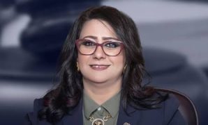 الجمل: الوعي المجتمعي والالتفاف حول مؤسسات الدولة ضرورة لمواجهة أي مخاطر تستهدف أمن مصر