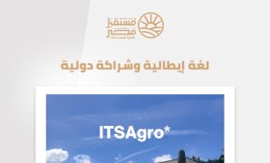 900 ألف فرصة عمل سنويا.. خطة التنمية تراهن على المشروعات الصغيرة وريادة الأعمال