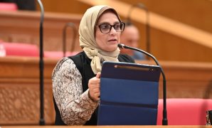إعادة انتخاب مصر لعضوية المجلس التنفيذى للمنظمة العربية للتنمية الإدارية للفترة 2026-2028