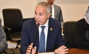 برلمانية: توجيهات الرئيس السيسي تضع التعليم والتمويل أمام رقابة أكثر حسمًا