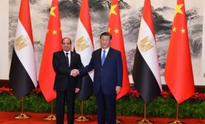 موسى مصطفى موسى: الزيارة المرتقبة للرئيس الصينى إلى مصر تمثل محطة تاريخية فارقة
