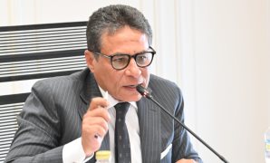 النائب شعبان رأفت يطالب بتشجير القاهرة الكبرى بالكامل ووقف قطع الأشجار فورًا