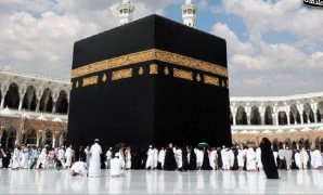 حق الأداء العلنى ما بين التطبيق والتأويل.. خطوة تاريخية لحماية حقوق الفنانين.. ومسار قانونى مؤسسي لتعزيز منظومة حماية الملكية الفكرية في مصر.. و4 فئات مقيدة بالقانون.. وفئتين مستثناه.. و3 خطوات للتسجيل