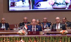 النائبة ولاء الصبان: تحرك مصر داخل بريكس يستهدف تحويل الشراكات لاستثمارات حقيقية