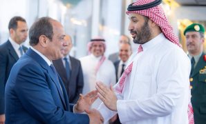 الذهب المدفون تحت "الدرع النوبي".. كيف تُفكك مصر شفرة التعدين بتعديل القوانين والبنية التحتية؟ رحلة بالأرقام تكشف خطة التحول الاستثماري في ثروات مصر التعدينية .. 163 شركة عامله في مصر يقودها القطاع الخاص 