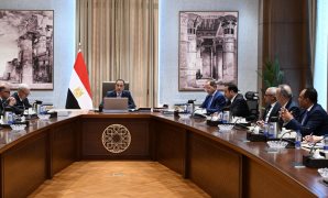 النائب عادل زيدان: التكامل المصري السعودي يعزز الاستقرار العربي ويفتح آفاقًا أوسع للتعاون