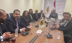 بالتزكية.. طارق رضوان رئيسًا للجنة حقوق الإنسان بمجلس النواب.. تعرف على تشكيل هيئة المكتب