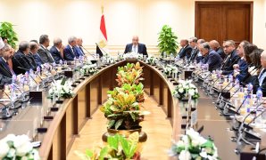 وزير شئون المجالس النيابية: المواطن في مقدمة أولويات الحكومة.. وتكامل السلطتين التشريعية والتنفيذية ركيزة لمواجهة التحديات