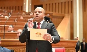 اعتراض الرئيس على المادة 25من قانون جامعة كيان يفتح ملف إصلاح منظومة الجامعات..أبو العينين: قانون تنظيم الجامعات تجاوز نصف قرن وحان وقت التغيير.. وأشرف حاتم يطالب بحسم مصير مكافآت طلاب «كيان»