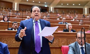 نائب: منتدى العلمين أفريقيا يرسخ دور مصر فى تحويل الطموحات لمشروعات عابرة للحدود