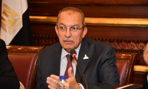 ننفرد بتشكيل اللجان النوعية لمجلس الشيوخ