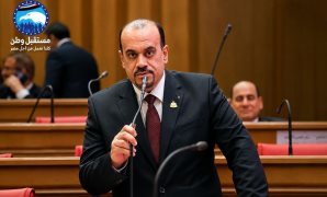 النائبة مروة حسان: «منتدى مصر 2026» يؤسس لحوار وطنى يستشرف المستقبل برؤية علمية وعملية