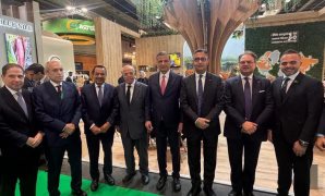 الرئيس السيسى: جمهورية كوريا قدمت نهضة شاملة جمعت بين الحفاظ على التراث والثقافة