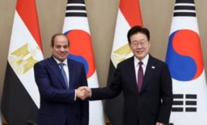 النائبة مروة حسان: «منتدى مصر 2026» يؤسس لحوار وطنى يستشرف المستقبل برؤية علمية وعملية