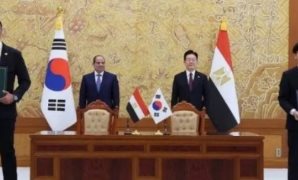 النائبة مروة حسان: «منتدى مصر 2026» يؤسس لحوار وطنى يستشرف المستقبل برؤية علمية وعملية