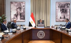استقبال الرئيس السيسى ومباحثاته مع نظيره الإندونيسى بالقصر الرئاسى "ميرديكا"