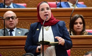 الفضالي: جولة الرئيس السيسي الآسيوية ستجلب المزيد من الإستثمارات الخارجية إلى مصر الفترة القادمة