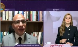 عبد المنعم السيد: الجولة الآسيوية للرئيس أسست لشراكات استراتيجية