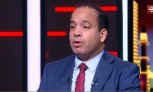 خبير علاقات دولية: جولة الرئيس السيسي الآسيوية تعزز شراكات مصر الاقتصادية
