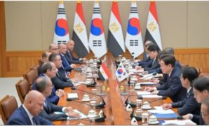 خبير علاقات دولية: جولة الرئيس السيسي الآسيوية تعزز شراكات مصر الاقتصادية