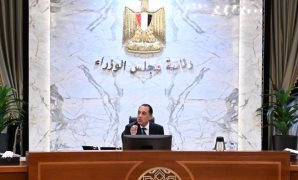 عماد عوض: سيناء تشهد طفرة تنموية بـ18 تجمعا ودراسة استصلاح 1.1 مليون فدان