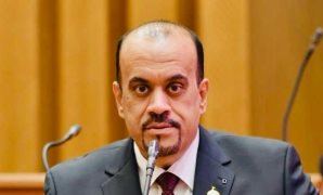 هاني نبيل: مصر سندا للأشقاء العرب والوعي المجتمعي حجر الزاوية لحماية استقرار الدولة ومؤسساتها